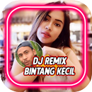 DJ Bintang Kecil Remix Gayo Tarik Sis Semongko APK