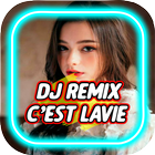 DJ Cest La Vie Remix 2020 icône