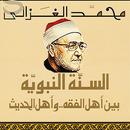 السنةالنبوية بين الفقه والحديث APK