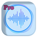 Sound recorder pro