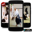 🤩 Aikido Techniques 🤩 APK