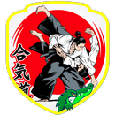 Aikido Training (Guide) APK