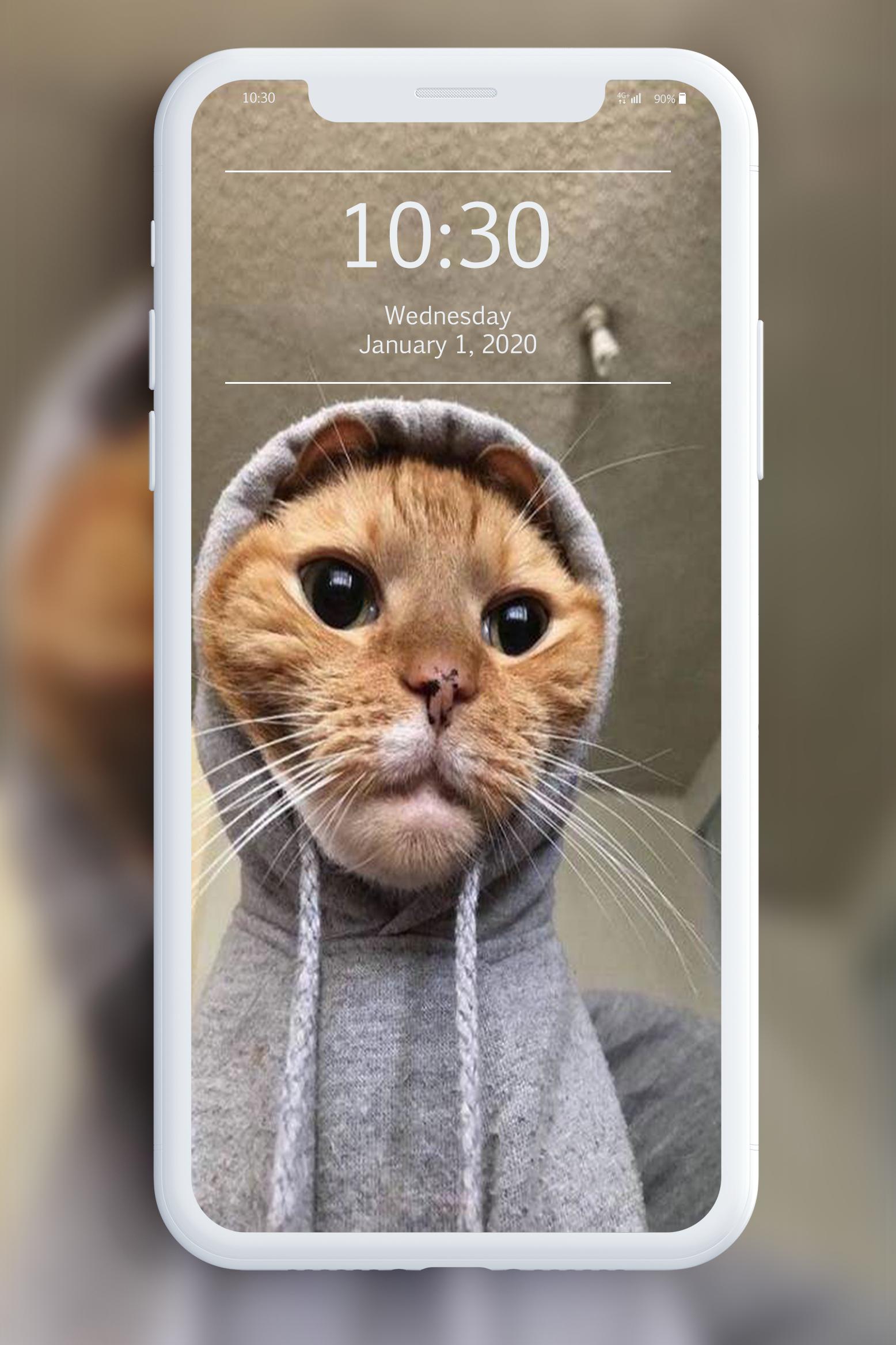 Android용 새끼 고양이 배경 화면 Apk 다운로드