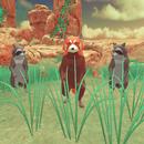 Raccoon Forest Wildlife Sim APK