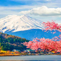 Nature Wallpaper