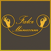 Fortune Teller Müneccim (Falcı