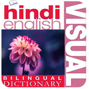 visual basic dictionary eng-hindi APK