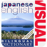 visual basic dictionary  eng-japanese
