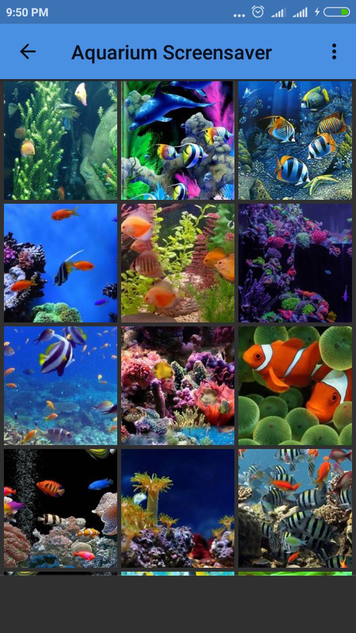 ACQUARIO SCREEN SCARICA