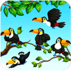 Bird Sort - Game APK