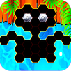 Hexa Jigsaw - Puzzles Game APK