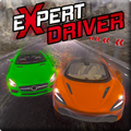 Expert Driver - Open World Dri