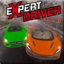 Expert Driver - Open World Dri APK