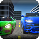 Real World Driver Sim APK