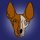 Dog Anatomy Free icon