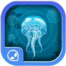 APK Follow The Jellyfish!