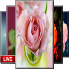 Flower Wallpaper Live HD icône
