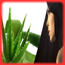 Hair Benefits Of Aloe Vera APK