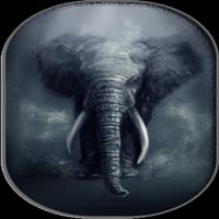 Tous les fonds d'écran d'éléphants HD Affiche