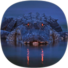 Alligator Sounds simgesi