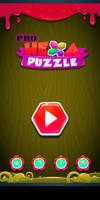 پوستر Pro Hexa Puzzle