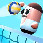 Head Volleyball 3D - Champions icône