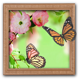 Amazing Photo Frames icon