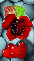 Gifs Animés De Roses Incroyables 4K Affiche