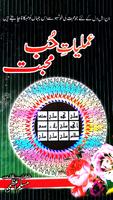 Amliyat Hub Mohabbat постер