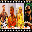 Calvin Harris - Feels APK