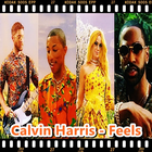 Calvin Harris - Feels icône
