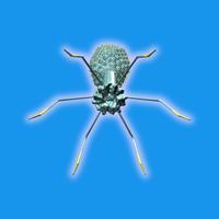 Bacteriophage Virus Structure in 3D VR Affiche