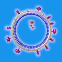 Influenza Virus Structure in 3D Virtual Reality Affiche