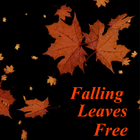 Leaves Falling Free Live WP 아이콘