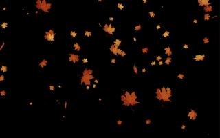 Leaves Falling Free Live WP 스크린샷 2
