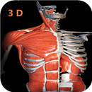 Anatomy Learning 3D- Anatomy of the human body-APK