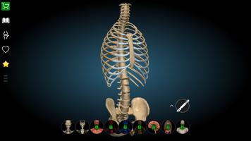 Anatomy Learning 3D- Anatomy of the human body الملصق
