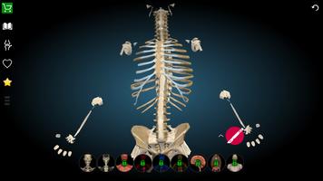 Anatomy Learning 3D- Anatomy of the human body تصوير الشاشة 1