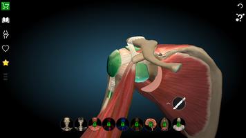 Anatomy Learning 3D- Anatomy of the human body capture d'écran 2