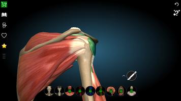 Anatomy Learning 3D- Anatomy of the human body capture d'écran 3