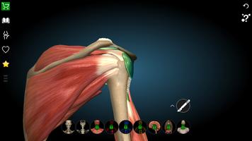 Anatomy Learning 3D- Anatomy of the human body تصوير الشاشة 3
