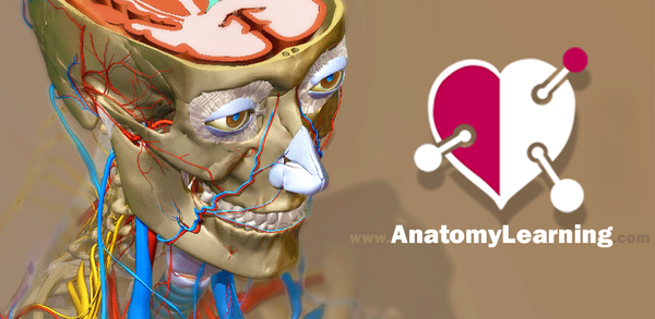 Cómo descargar la última versión de Anatomy Learning - 3D Anatomy APK 3.1.461 para Android 2025 image