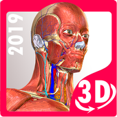 Anatomy Learning - 3D Atlas icon Anatomy Learning - 3D Atlas icon