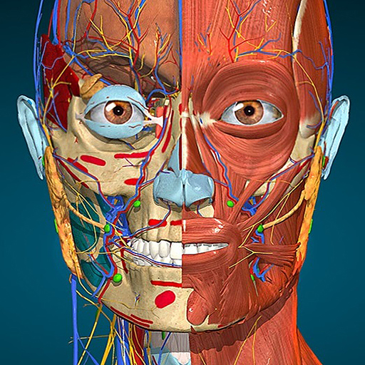 Anatomy Learning - 3D 解剖學