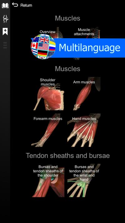 Anatomy Learning - 3D Anatomy screenshot 5