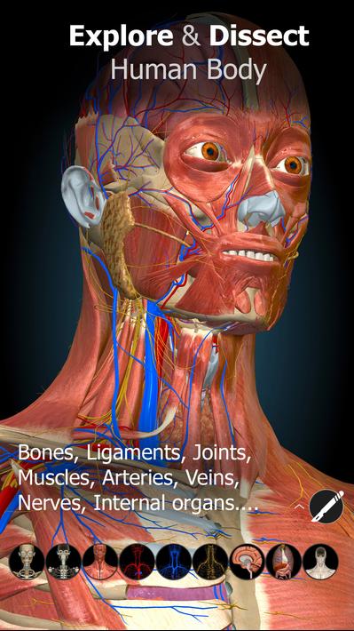 Anatomy Learning - 3D Anatomy screenshot 8
