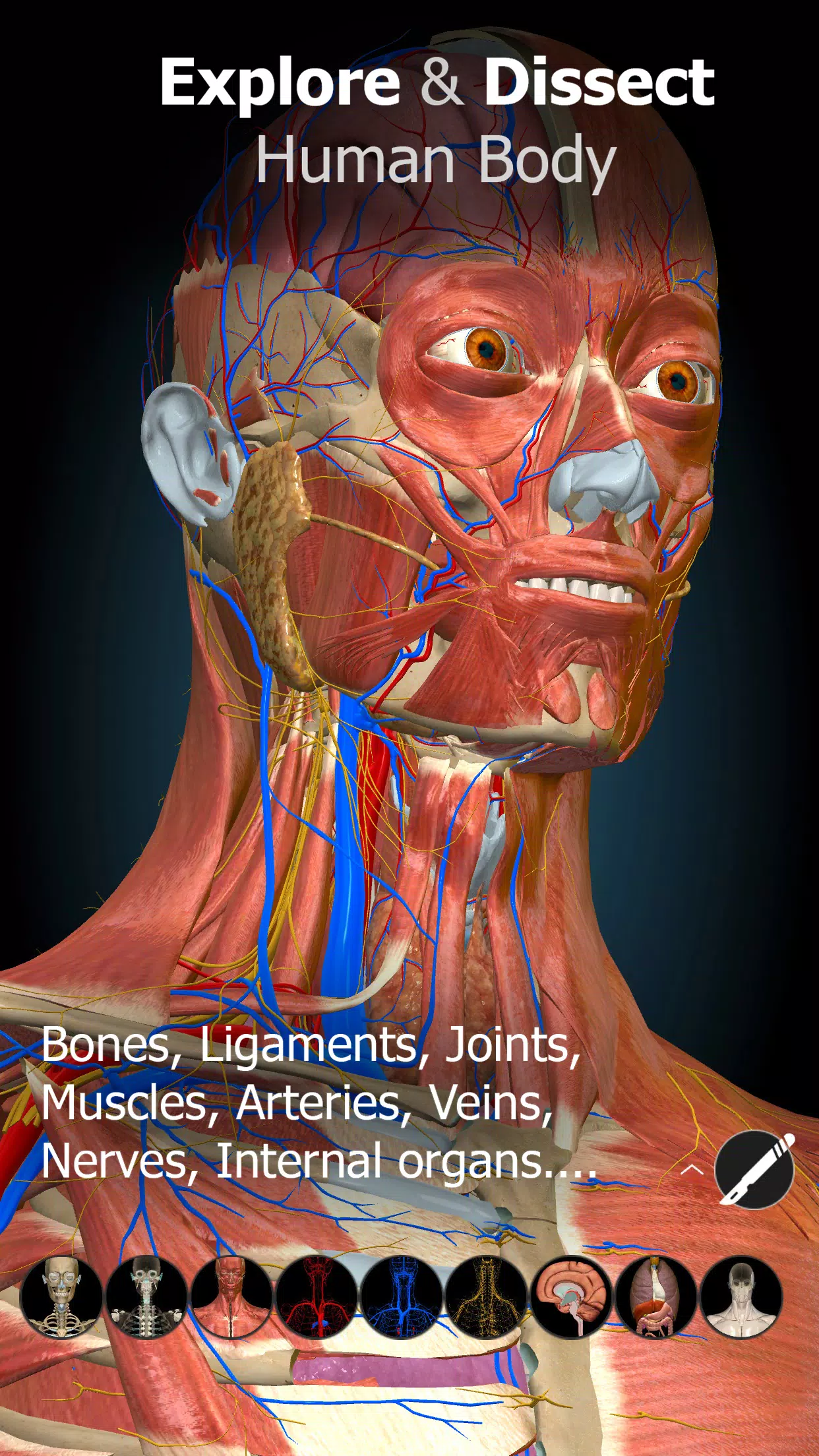 Human Anatomy APK Download for Android Free