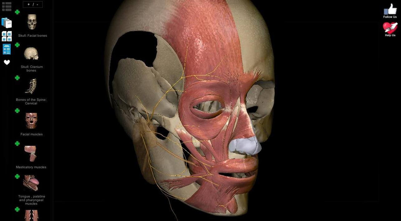 Anatomy Learning - Atlas de anatomÃ­a 3D for Android - APK Download