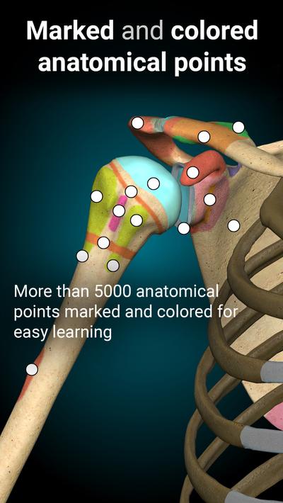 Anatomy Learning - 3D Anatomy screenshot 10