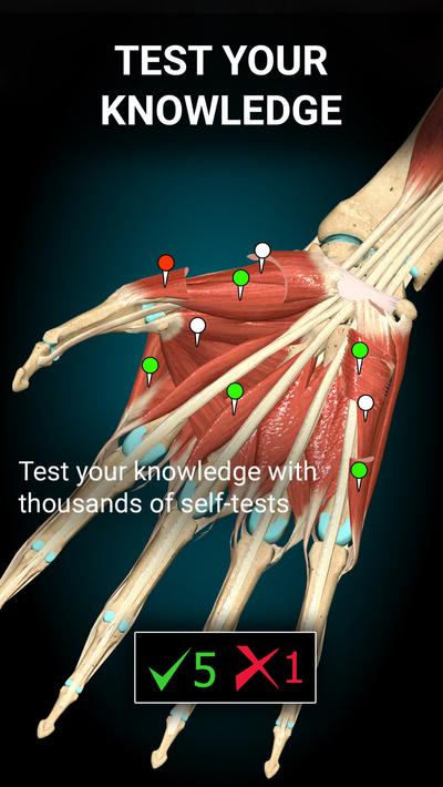Anatomy Learning - 3D Anatomy screenshot 12